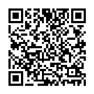 昨天晚上还在西门的大排档和十几个小混混打架二维码生成