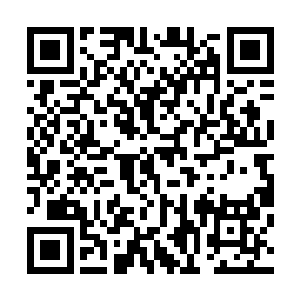 是不是受了张在导演的邀请前来演出或者准备拍摄电视剧的二维码生成