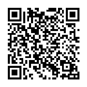 是不是能转化把其他的任何种族转化成他们的幼圣体啊二维码生成