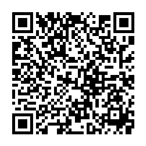 是以世界进行拔苗助长……当我体会到并承认外域世界强大并心生敬畏时二维码生成