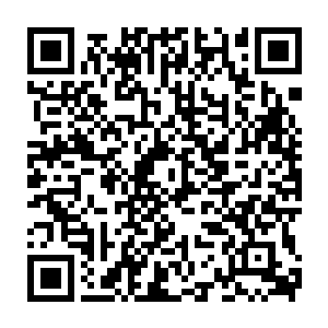 是修真大世界和魔界大能修士以及各大宗门的试炼和各种材料基地二维码生成