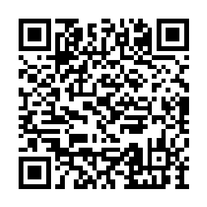 是卫阳城巡逻者任务必须完成的任务对象……嗯二维码生成