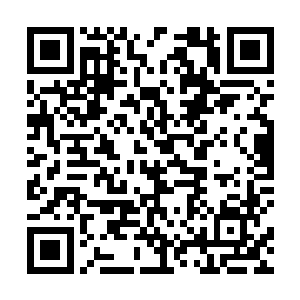 是因为墨族域主们忌惮杨开那神出鬼没一击必杀的手段二维码生成