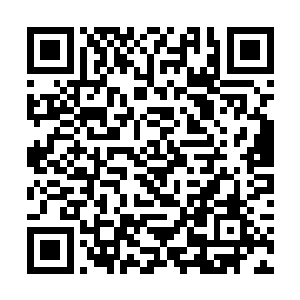 是她下令让信号旗部队在我们撤离过程之中进行阻击二维码生成