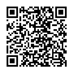 是最容易感受和点燃属于他们氏族的那枚鲜血印记的二维码生成