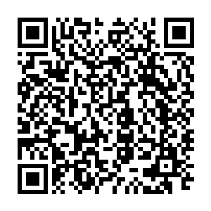 是用许紫烟从七情塔内第一层中得到了血魔花为主药炼制而成的一种仙丹二维码生成