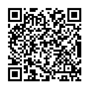 显然是一个非常不错的主意……暴雨梨花乃是唐门十大暗器二维码生成