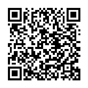 显然此时南域的惨状也算是彻底的激起了杨戬心中的怒火二维码生成