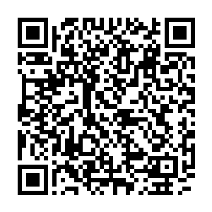 普罗曼博士经过研究很确定的认为龙果对于尼曼匹克病的治疗会有奇效二维码生成