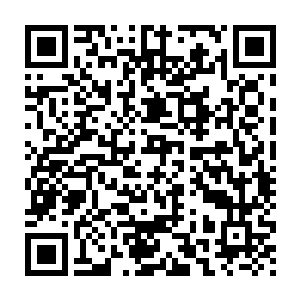 景物繁多的环境……比如此刻的丛林里……使用数据视角会更加费神二维码生成
