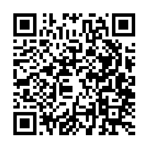 更是他兄弟孟竞尧托付给他的孟家留在这世界上唯一的血脉二维码生成