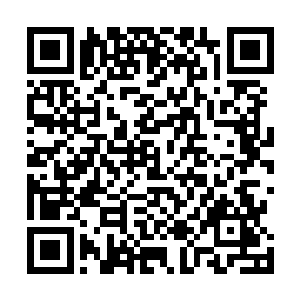 曾在这里经历了无数的风风雨雨……没想到今生再次来了二维码生成