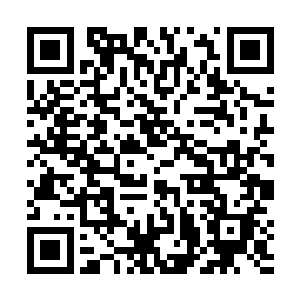 曾经有专门工作人员询问过新任皇帝对夏宫的设计意见二维码生成