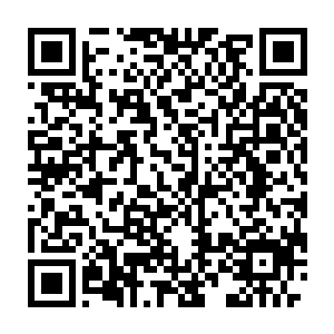 最后在用电话这种当时唯一的通讯手段掌握了当时星球的全部公职部门二维码生成