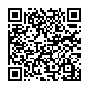 最后这名散仙不得不使用无数的天材地宝给他使用二维码生成