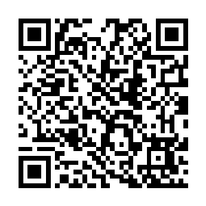 最新章节全文阅读^^%搜索巫神纪+阅读本书#最新%章节^二维码生成