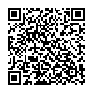 最终我们用一个很便宜的价格拿下了这辆其实还不是特别破的捷达车二维码生成
