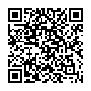 最终确定自己果然是已经稳定在了结丹期第二层的修为二维码生成
