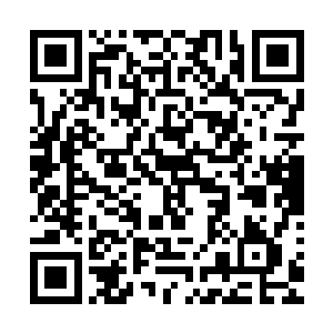最要命的是一个檀木箱子里装的是一件价值连城的风磨铜链甲二维码生成