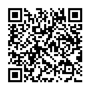 有一张网用那种温和且又无法抗拒的力量在挡着你二维码生成