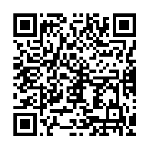 有他和没他根本没什么区别吧……以她目前和星瞳的匹配程度二维码生成