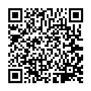 有别的家族的手太长打算在他家的地盘上倒腾点小生意什么的二维码生成