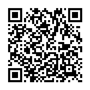 有点儿混血的血统的确让其的容貌有了几分加成二维码生成