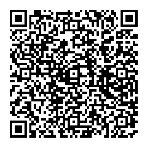 机场里的警察看到这阵容　几乎以为是某个国家的政要來了　可是他们又沒有接到相关的通知　所以所有人都十分的疑惑二维码生成