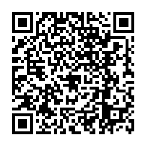 杨家的杨九便是苦修的这种千门秘术的……联想到自己这一段记忆的缺失二维码生成