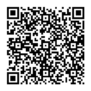杨晨就会来到灵谷的灵兽制器室中根据灵兽的品种和等级要求制造出一枚玉符吊坠出来二维码生成