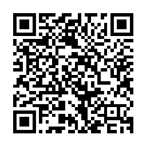 杨晨这一个月的时间里他们当然也知道杨晨是在磨炼之地中修炼二维码生成