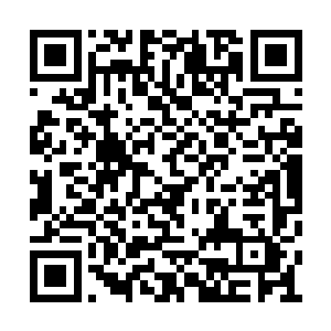 杨洛拿着德尔的战术手电筒快速的在丛林里穿行二维码生成