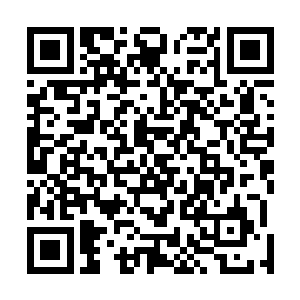 杨辰还是第一次和自己的女人一同这么用修士的方式飞行二维码生成