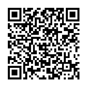 杨锐一口气写出来的四篇论文能结结实实的发往sci二维码生成