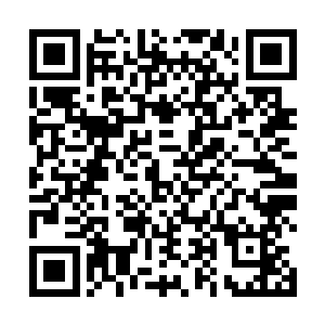 杨风再次的炼制出来了一颗小轮回丹这次他给了杨小勇二维码生成