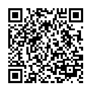 杰西卡看着再次恢复到原初模样的泰尼cp打了一个哆嗦二维码生成