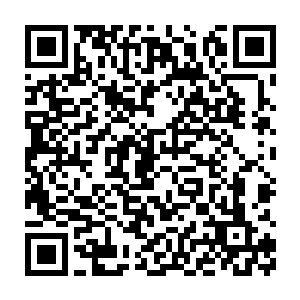 林封谨在这一瞬间看到了他的身后出现了一只仙鹤掠过的巨大幻象二维码生成