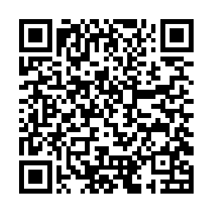 林烽差不多一个小时左右就仔仔细细地全都给看完了二维码生成