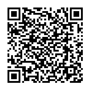 林烽算是体会到了古代修真者们为什么要动不动就闭关个几年十几年的二维码生成