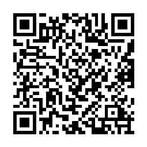 果然是十枚与之前梦雨竹给她的那一枚一模一样二维码生成