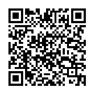 枭雄啊…………此时仍不认输…………当初某在辽东二维码生成