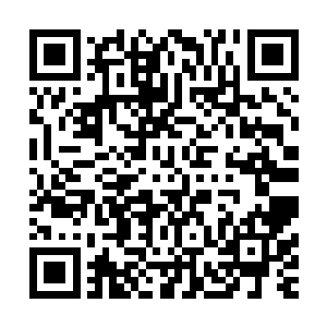 根本就无法和那些传承了数十万数百万年的古老皇朝相提并论二维码生成