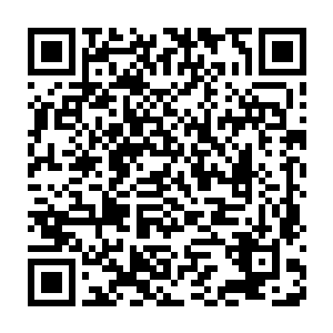 梁书记在大会小会上都提到了在明年我们县里经济发展必须要有起色二维码生成
