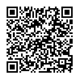 梓箐感觉自己貌似除了不断的做任务不断的提升自己的身体属性值外二维码生成