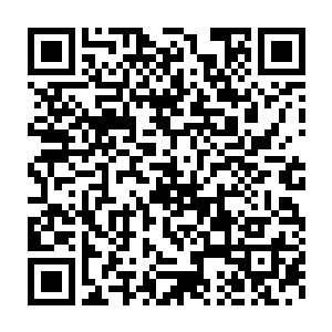 梓箐清晰地看到内壁那一圈圈的蠕动着的结节上张着无数更细小的触须二维码生成