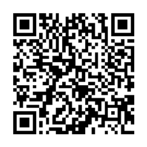 梦旅人的双眼同样在金丝眼镜后面绽放出璀璨的光芒二维码生成