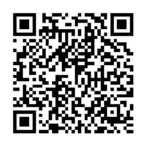 楚如筠一双美眸充满仇恨的看着楚墨寒抱着沈婉瑜离开的方向二维码生成