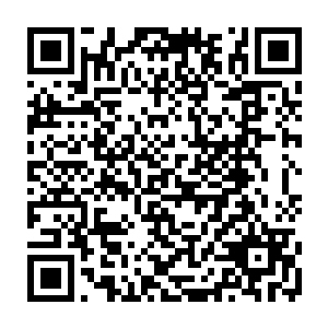 正在开会的那些五级城市的老家伙们已经仔细探讨和研究了整整五天五夜了二维码生成