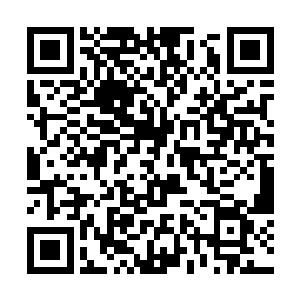 正在犹豫敲哪扇门时便发现左侧的一扇门无声的开了二维码生成