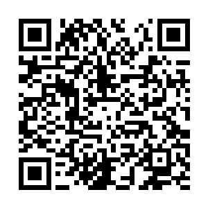 正在针对他们进行一场可能令他们万劫不复的行动二维码生成
